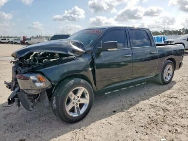 2010 DODGE Ram - License Plate