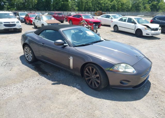 Jaguar XK