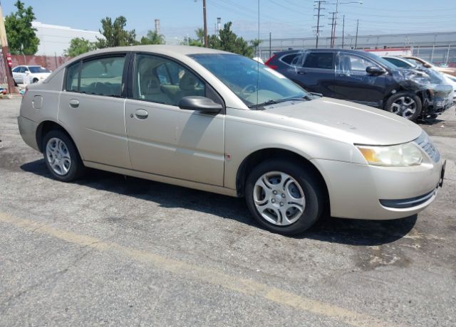 Saturn Ion