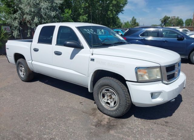 Dodge Dakota