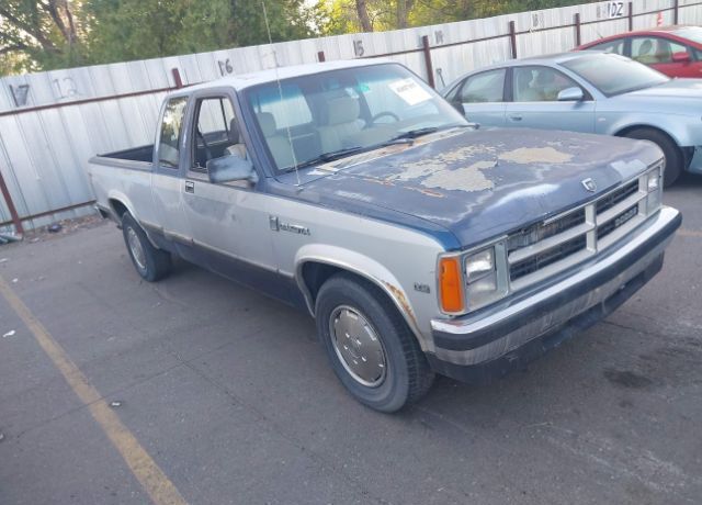 Dodge Dakota