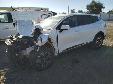 2025 KIA Sportage - License Plate