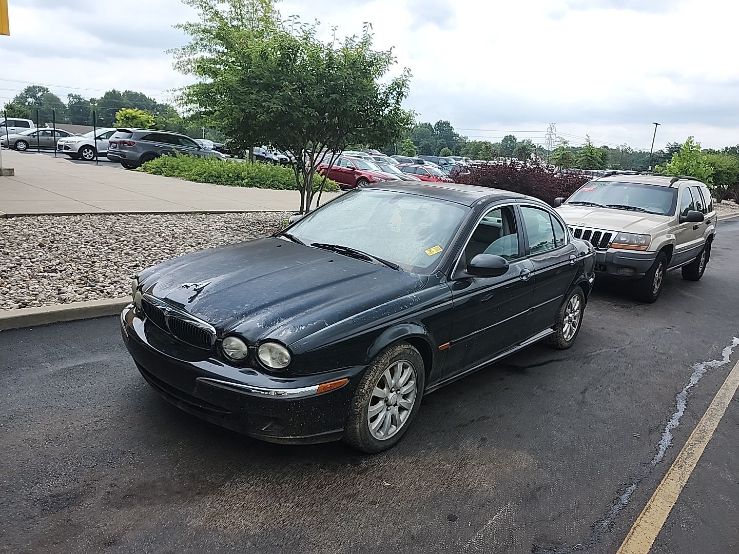 Jaguar X-Type