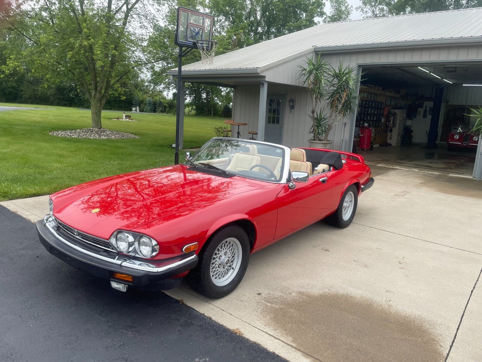 Jaguar XJS