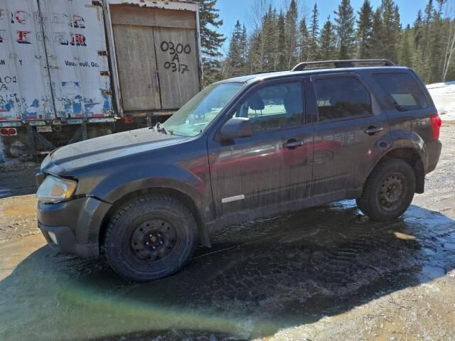 Mazda Tribute