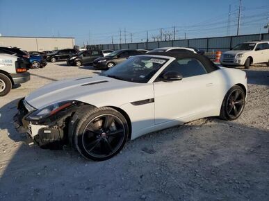 2014 JAGUAR F-Type - License Plate