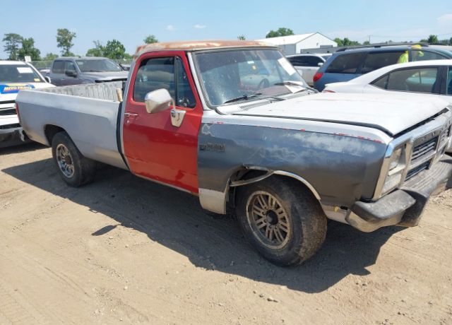Dodge D-Series