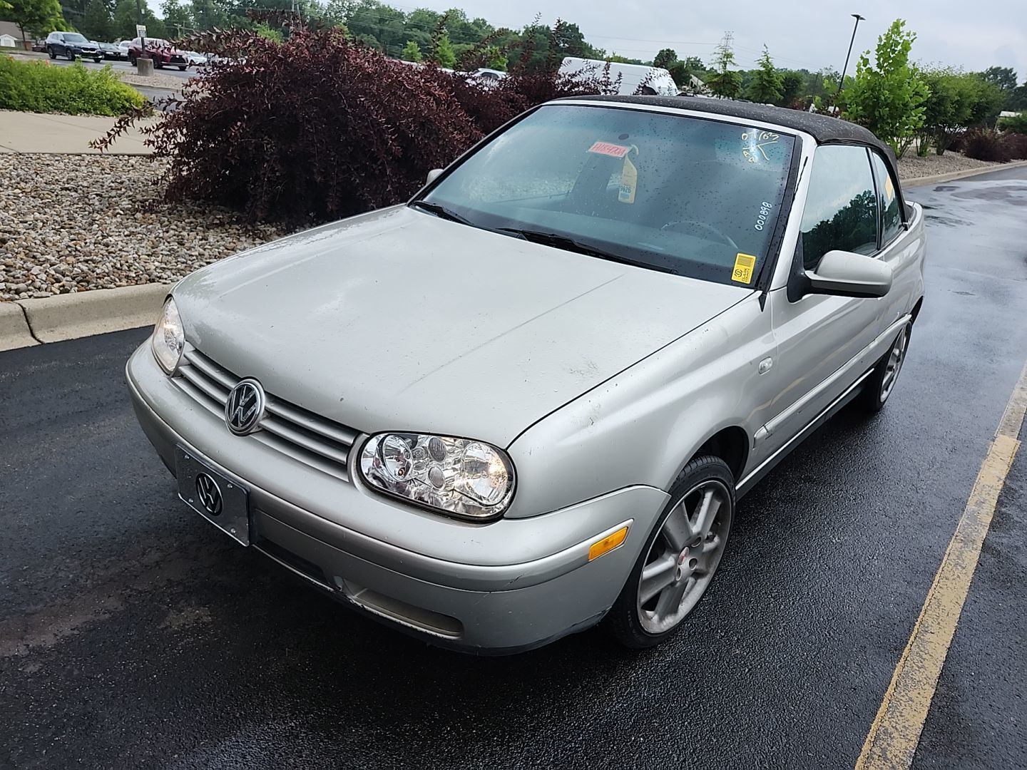 Volkswagen Cabrio