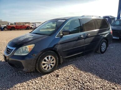 2010 HONDA Odyssey - License Plate