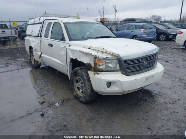 Dodge Dakota