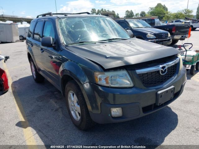 Mazda Tribute