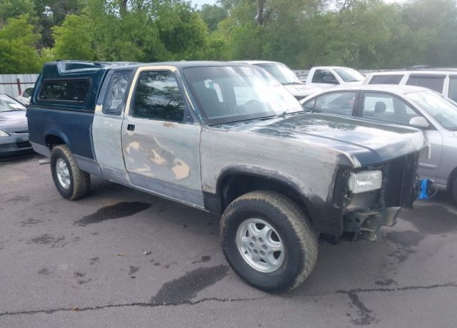 Dodge Dakota