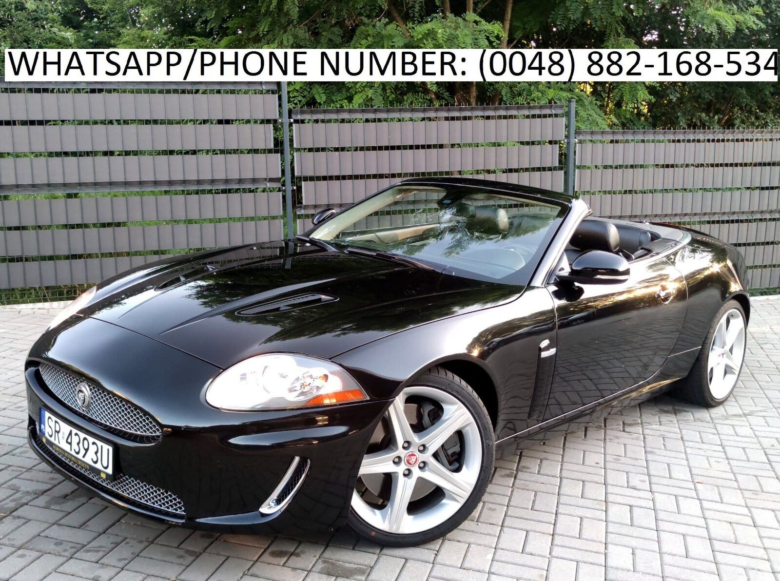 Jaguar XK