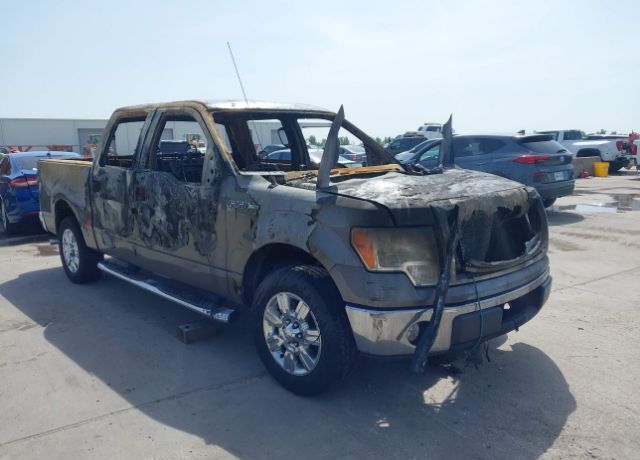 2010 FORD F-150