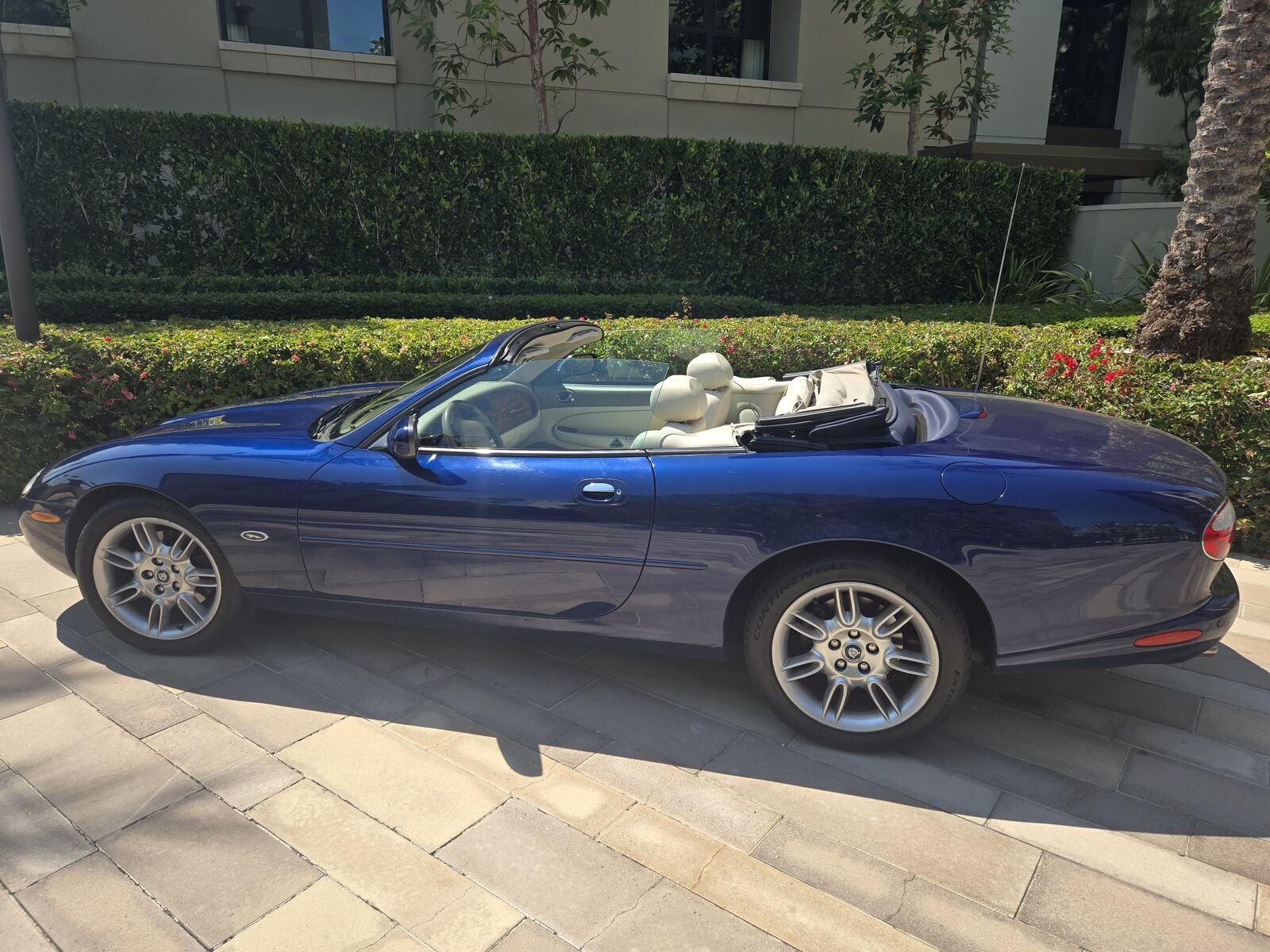 Jaguar XK