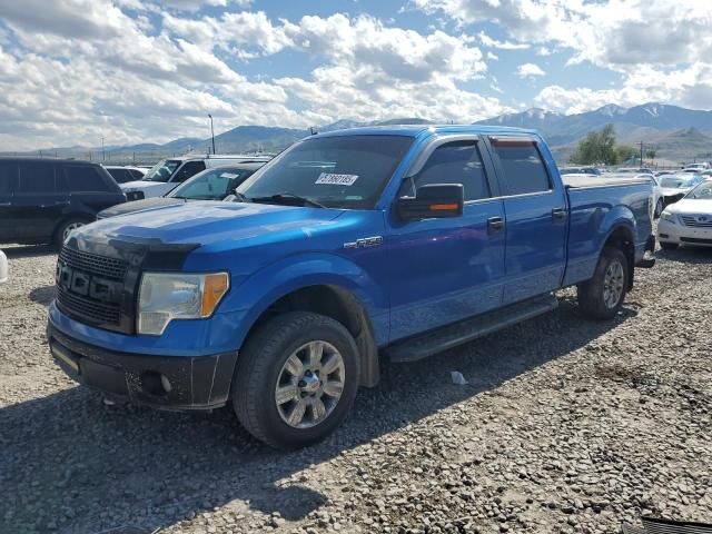 2010 FORD F-150