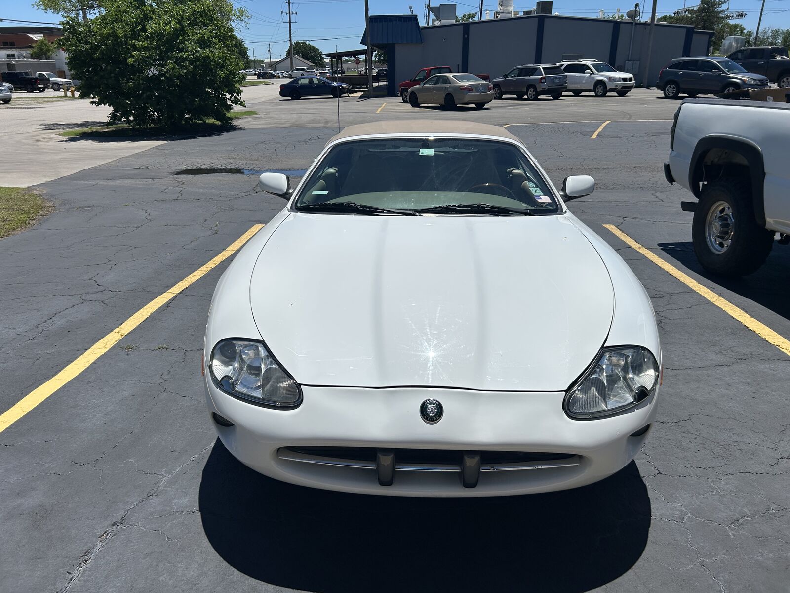Jaguar XK8