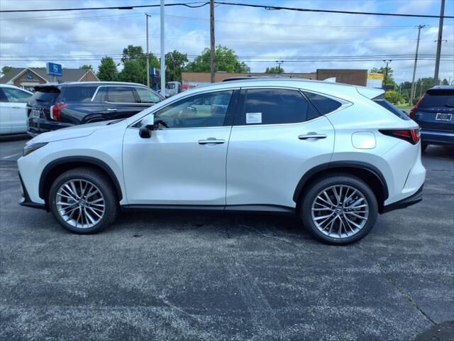 2025 Lexus NX