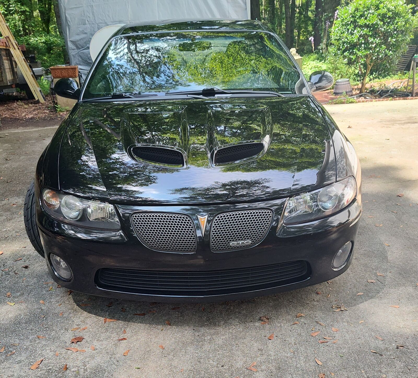 Pontiac GTO