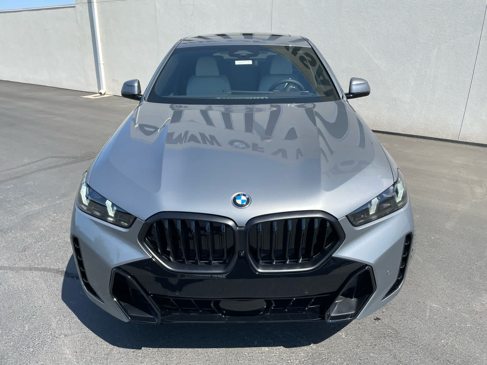2026 BMW X6