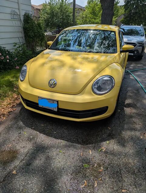 Volkswagen Beetle