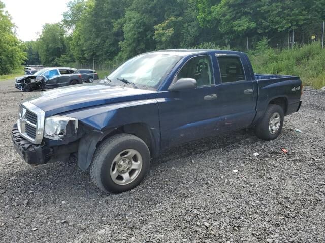 2005 DODGE Dakota - License Plate