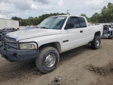 2002 DODGE Ram - License Plate