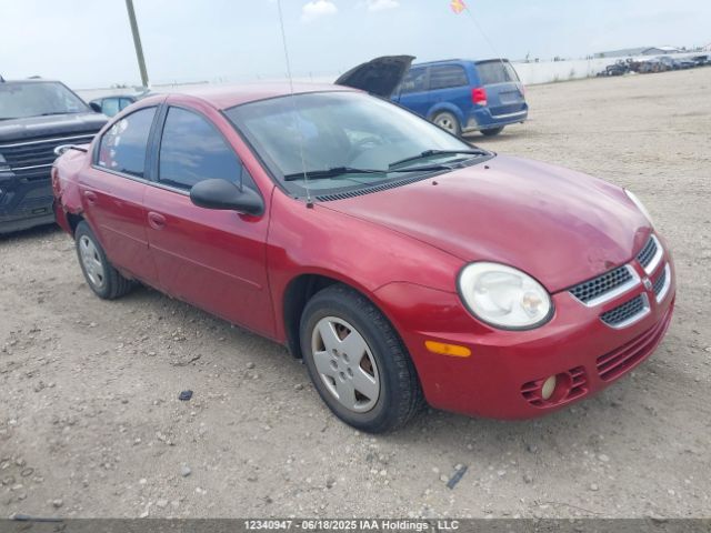Dodge Neon