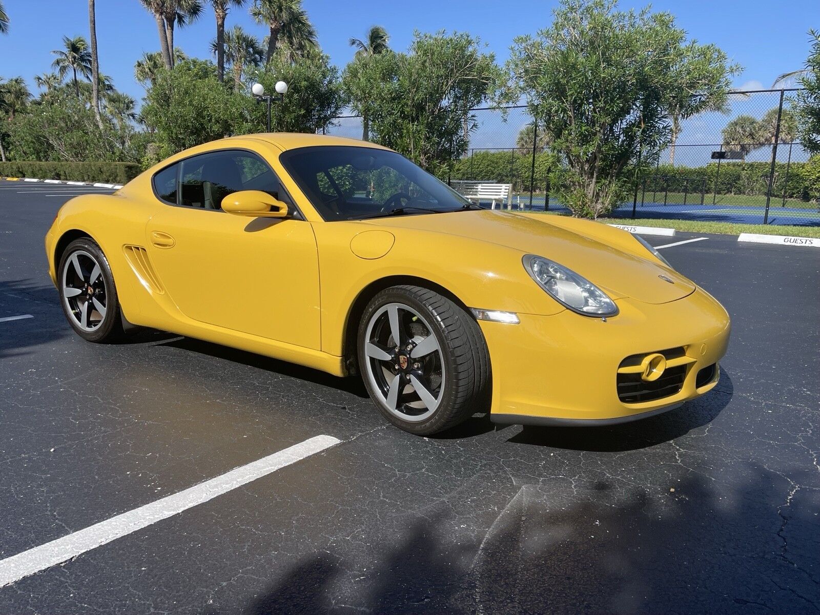 Porsche Cayman