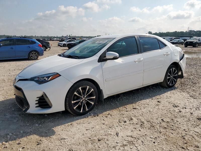 2019 TOYOTA Corolla