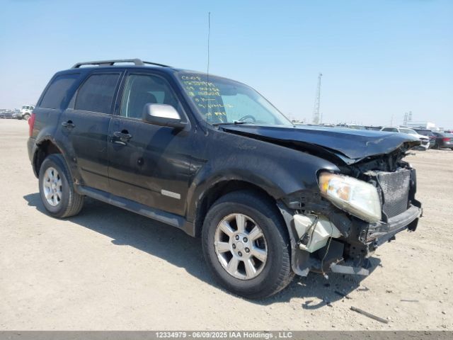 Mazda Tribute