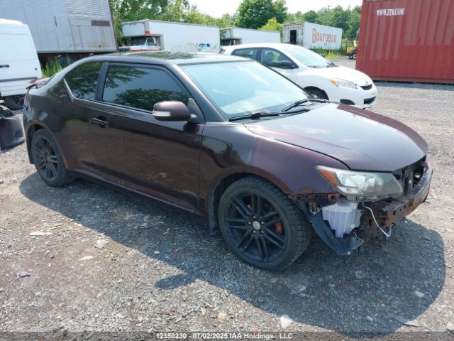 Toyota SCION tC
