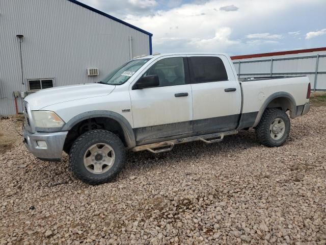 2011 DODGE Ram - License Plate