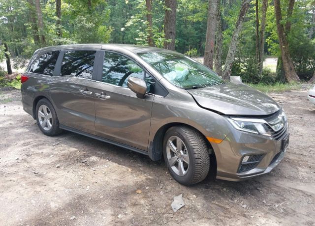 2019 HONDA Odyssey