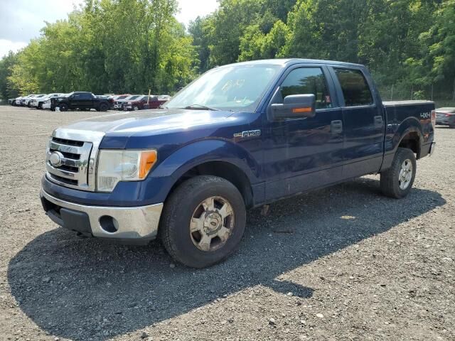 2009 FORD F-150 - License Plate