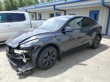 2025 TESLA Model Y - VIN Decoder