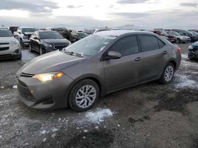 2019 TOYOTA Corolla