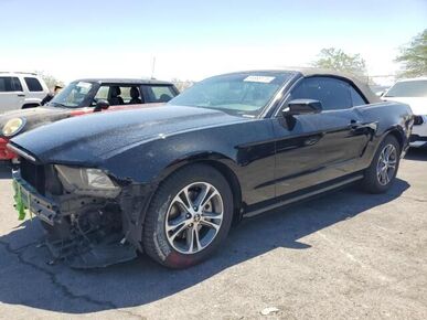 2014 FORD Mustang - License Plate