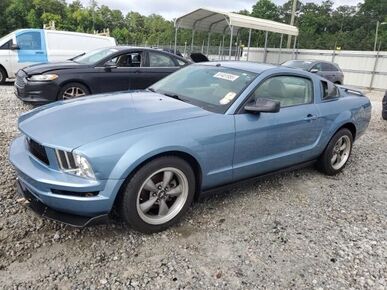 2005 FORD Mustang - License Plate
