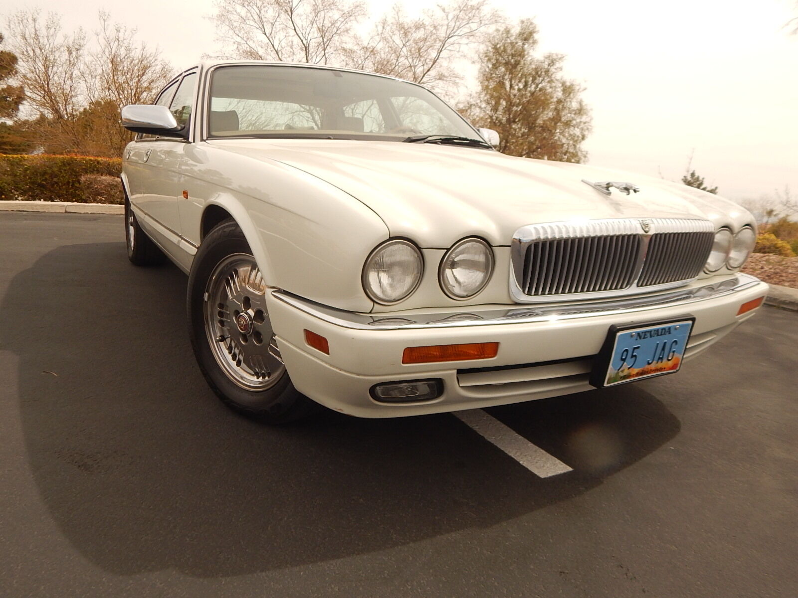 JAGUAR