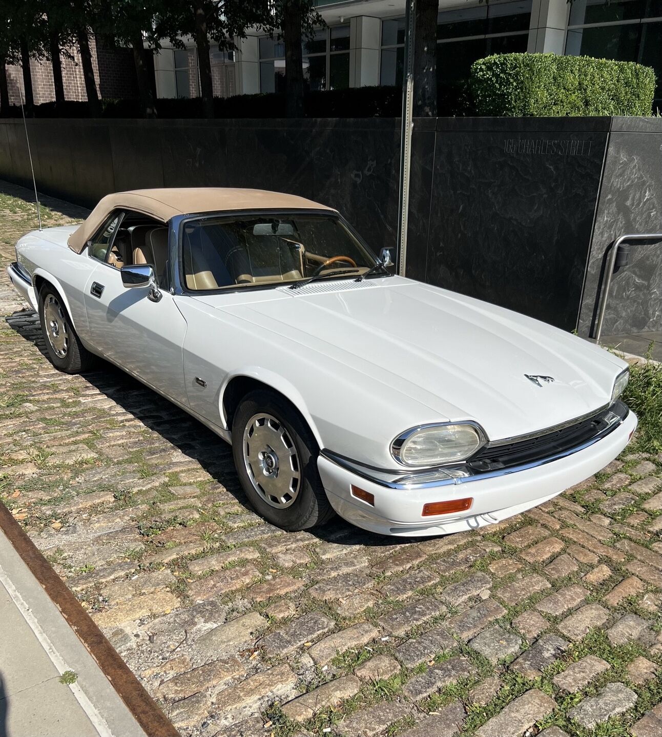Jaguar XJS