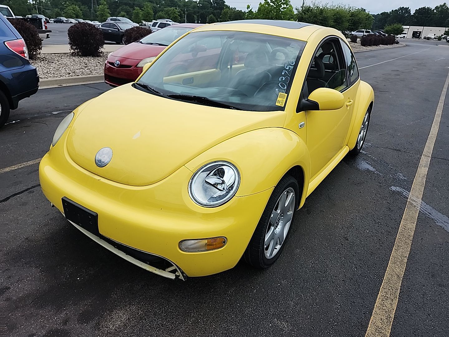 Volkswagen Beetle