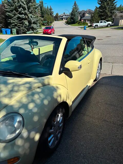 Volkswagen Beetle