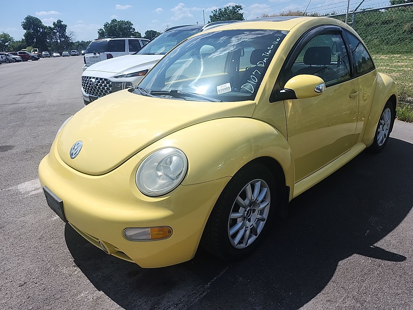 Volkswagen Beetle