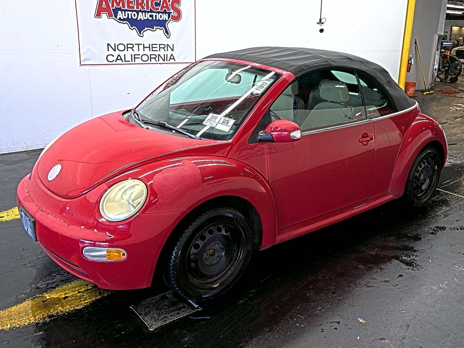 Volkswagen Beetle