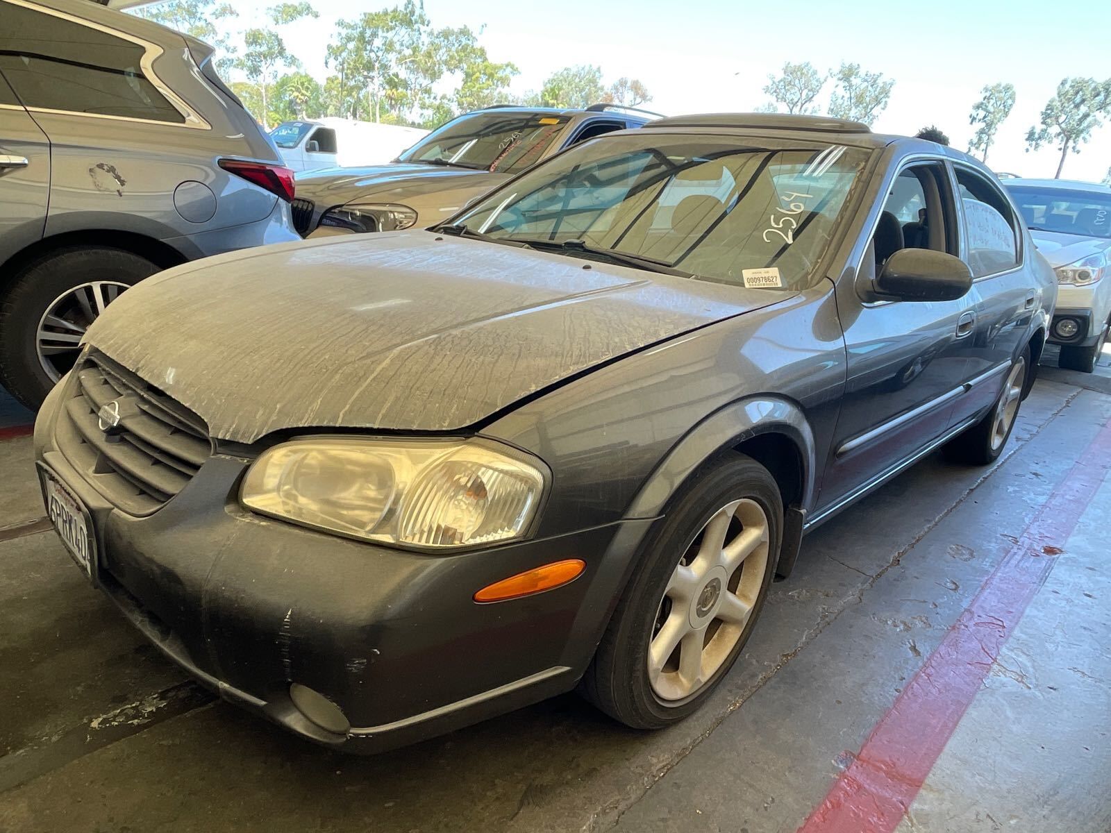 Nissan Maxima