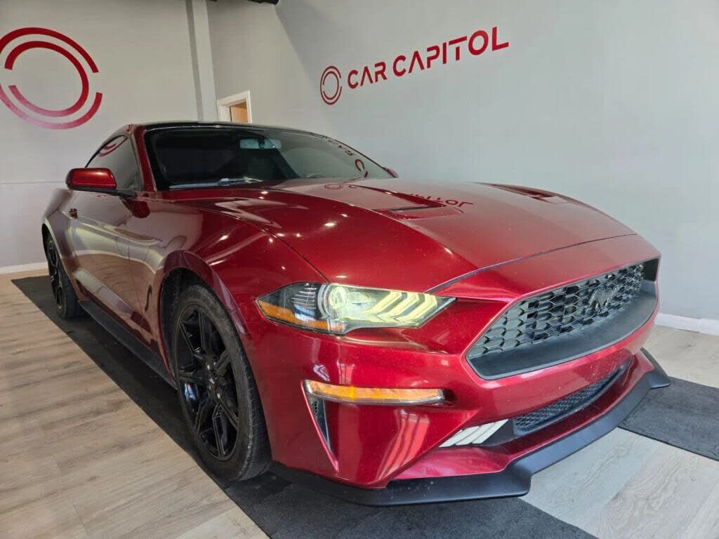 2019 FORD Mustang
