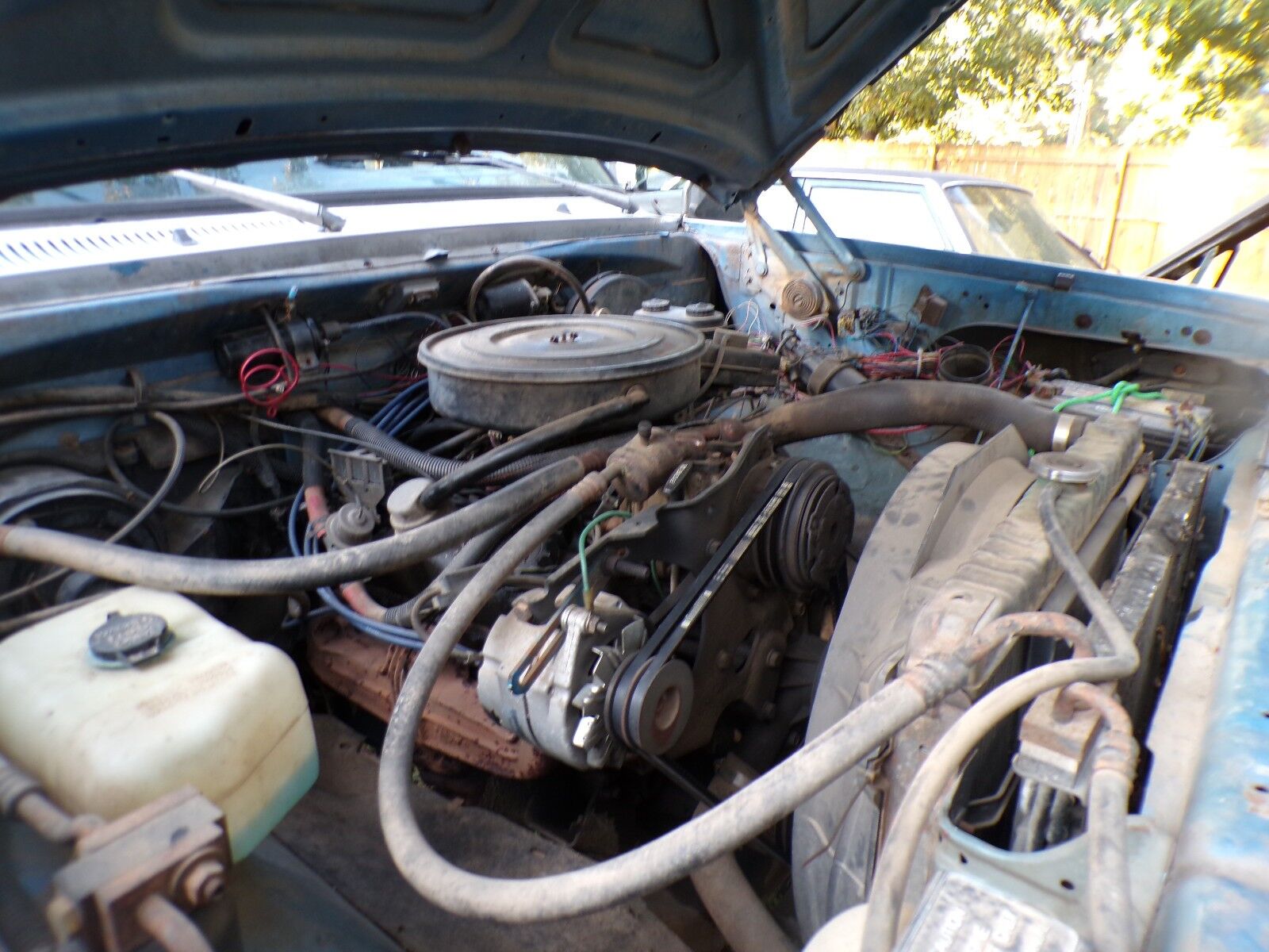 Dodge W-Series