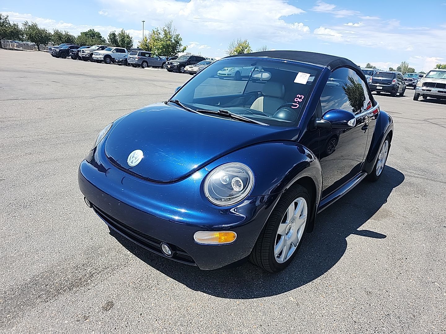 Volkswagen Beetle