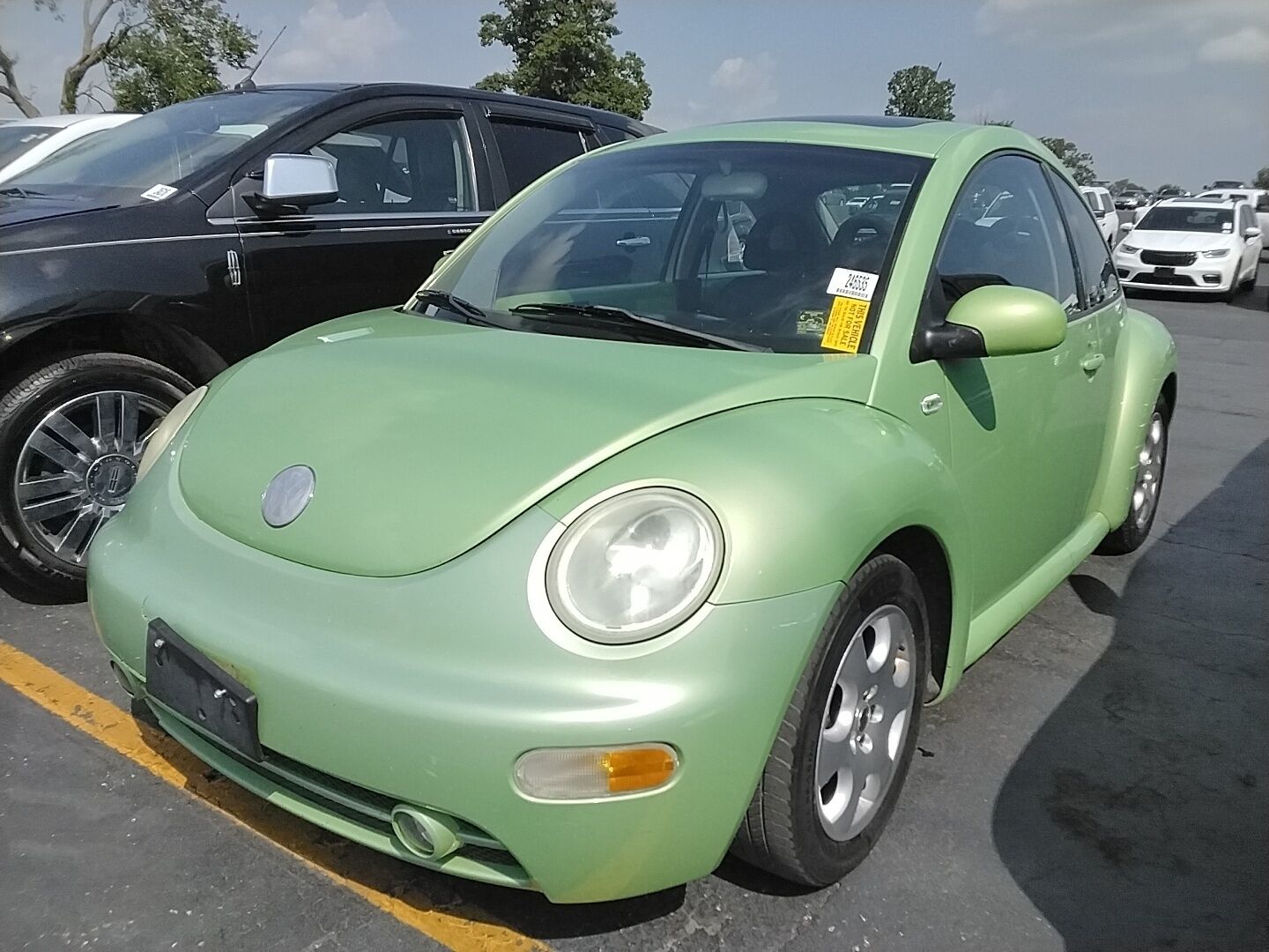 Volkswagen Beetle